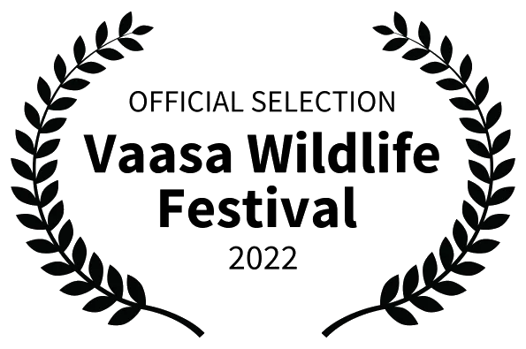 Vaasa Wildlife Festival